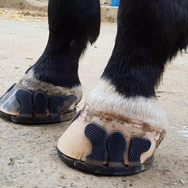 Huf Nachher 3