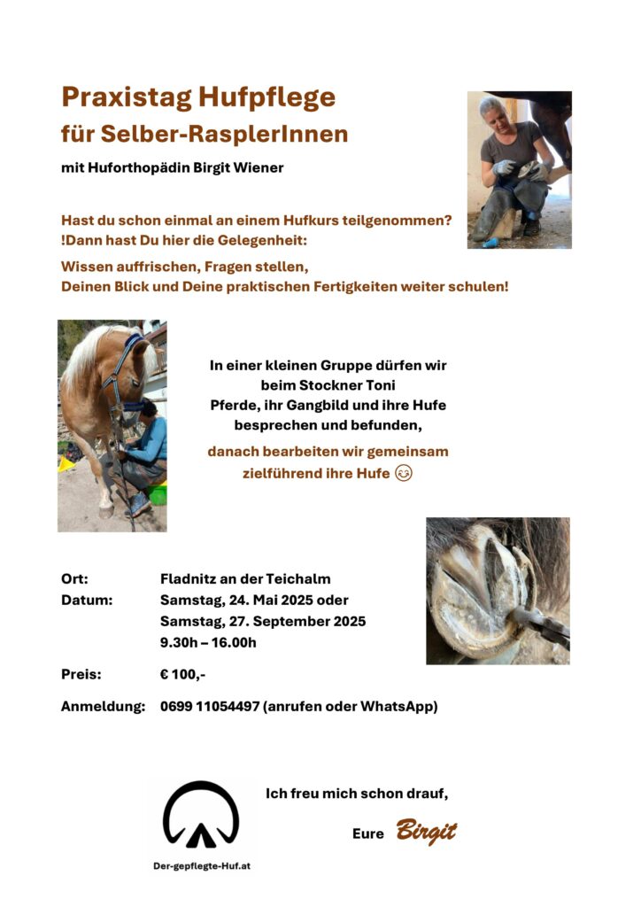 Praxistag Flyer