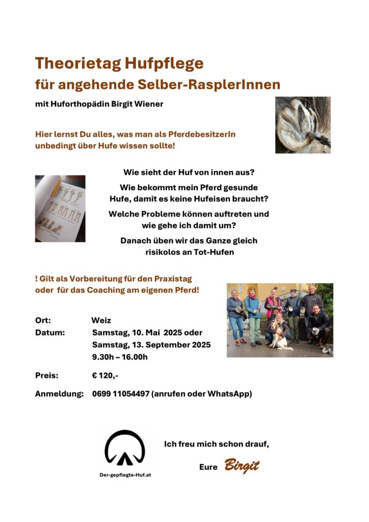 Theorietag Flyer